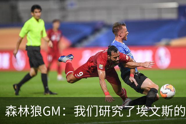 森林狼GM：我们研究了埃文斯的每次三分投篮 相信其技术能对接NBA